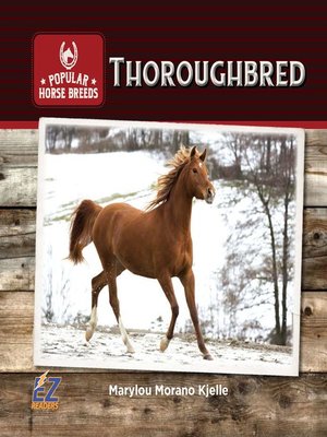 cover image of Thoroughbred